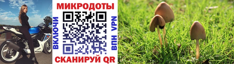 купить наркоту  Татарск  Галлюциногенные грибы Psilocybine cubensis 